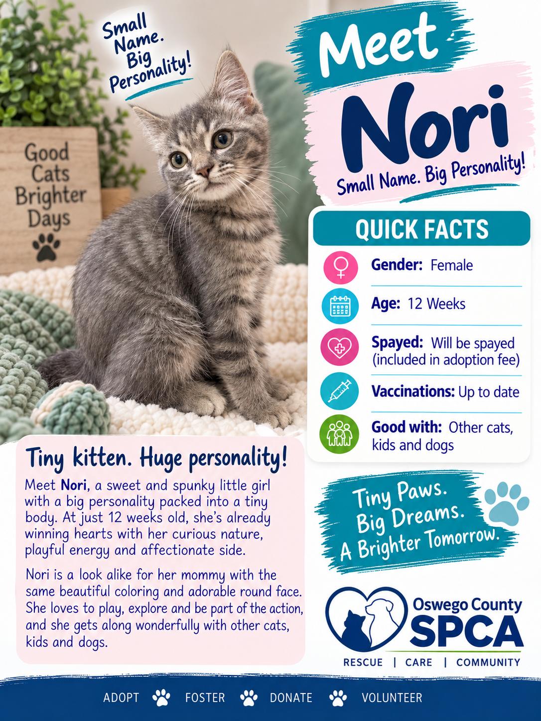 Enlarge Nori, a Adoptable mixed breed in Fulton, NY image 2/2