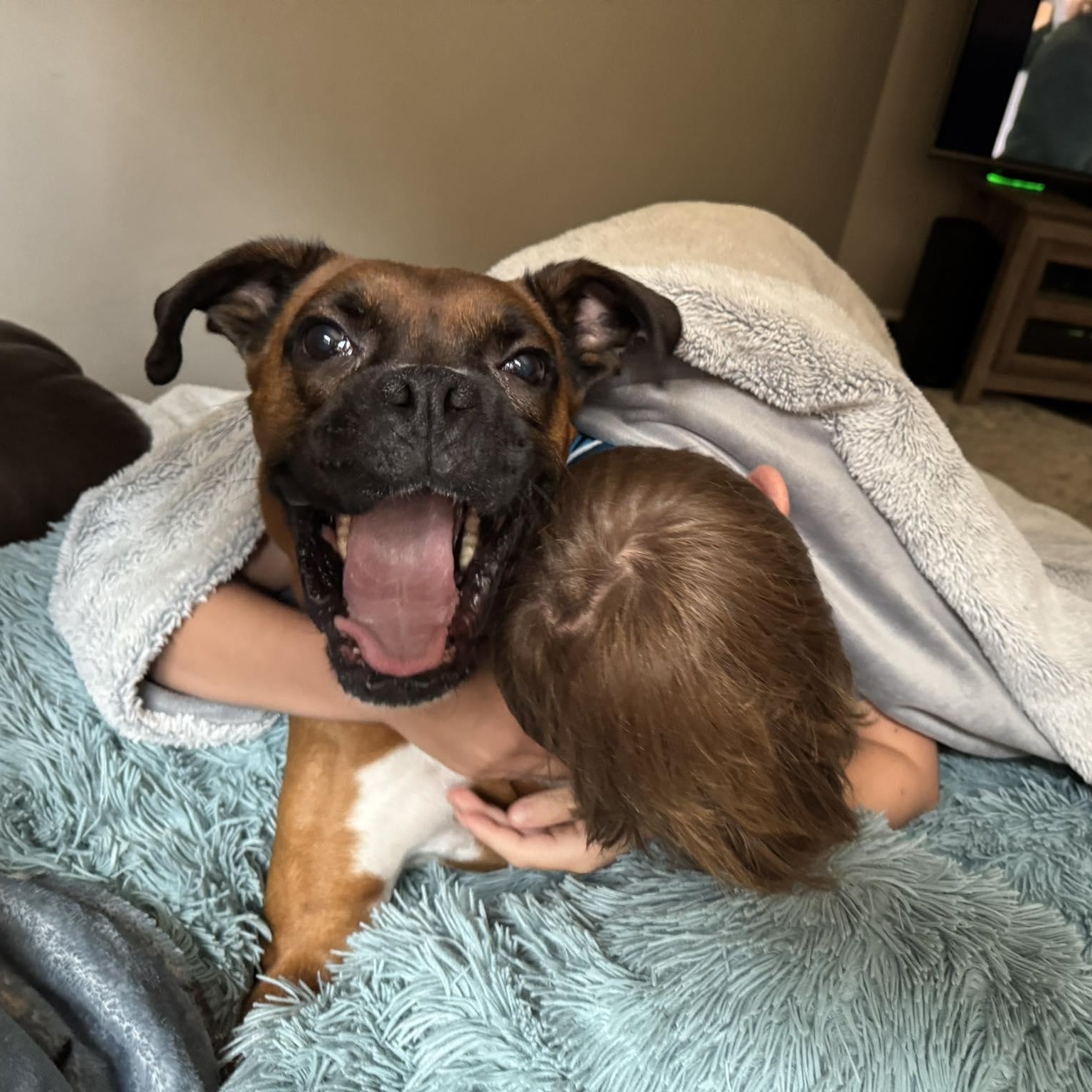 Bruno