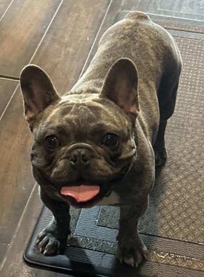 SAMMY SMOOCHES - pending