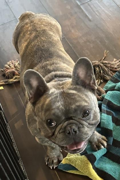 SAMMY SMOOCHES - pending