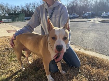 Totie — thumbnail 2