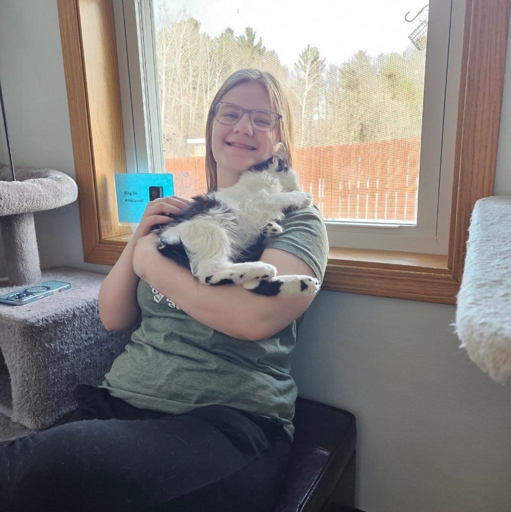 Enlarge Ghostface, a Adoptable mixed breed in Menomonie, WI image 2/4