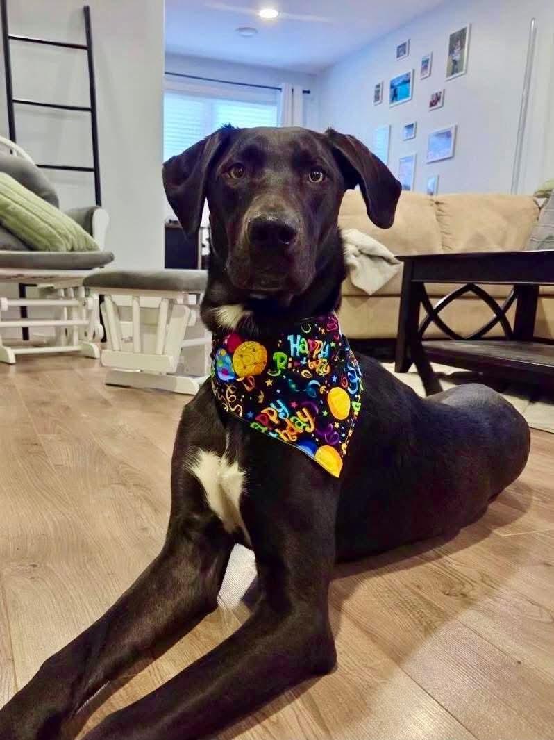 Mercedes — thumbnail 4