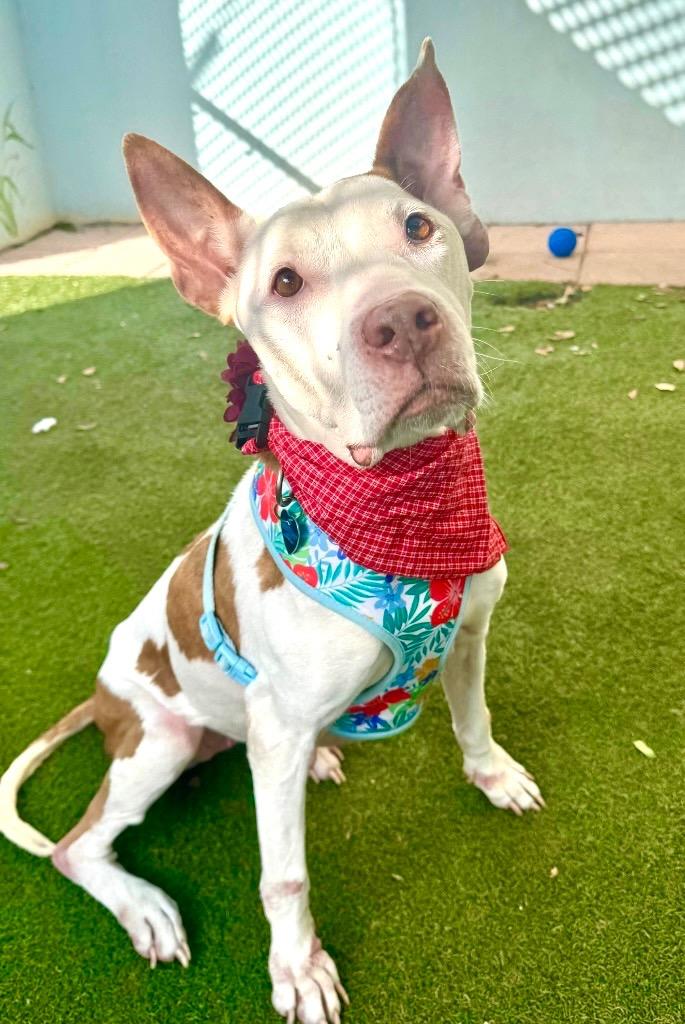 Faith — thumbnail 3