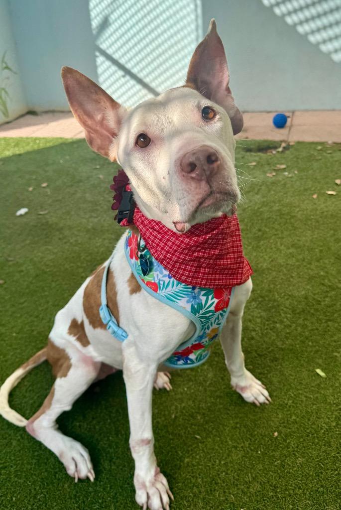 Faith — thumbnail 4