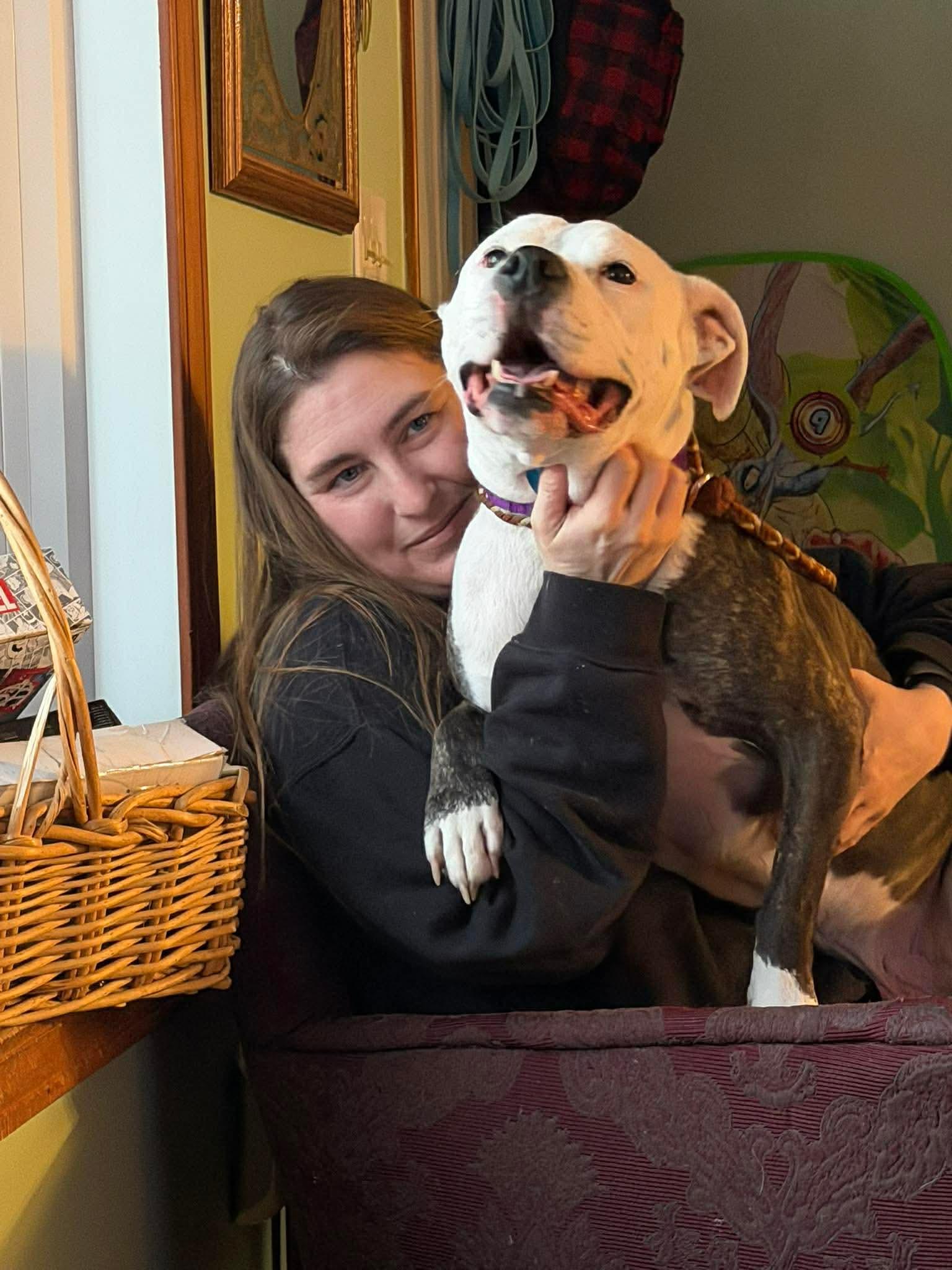 Enlarge Cap, a ADOPTABLE mixed breed in Mount Morris, MI image 6/6