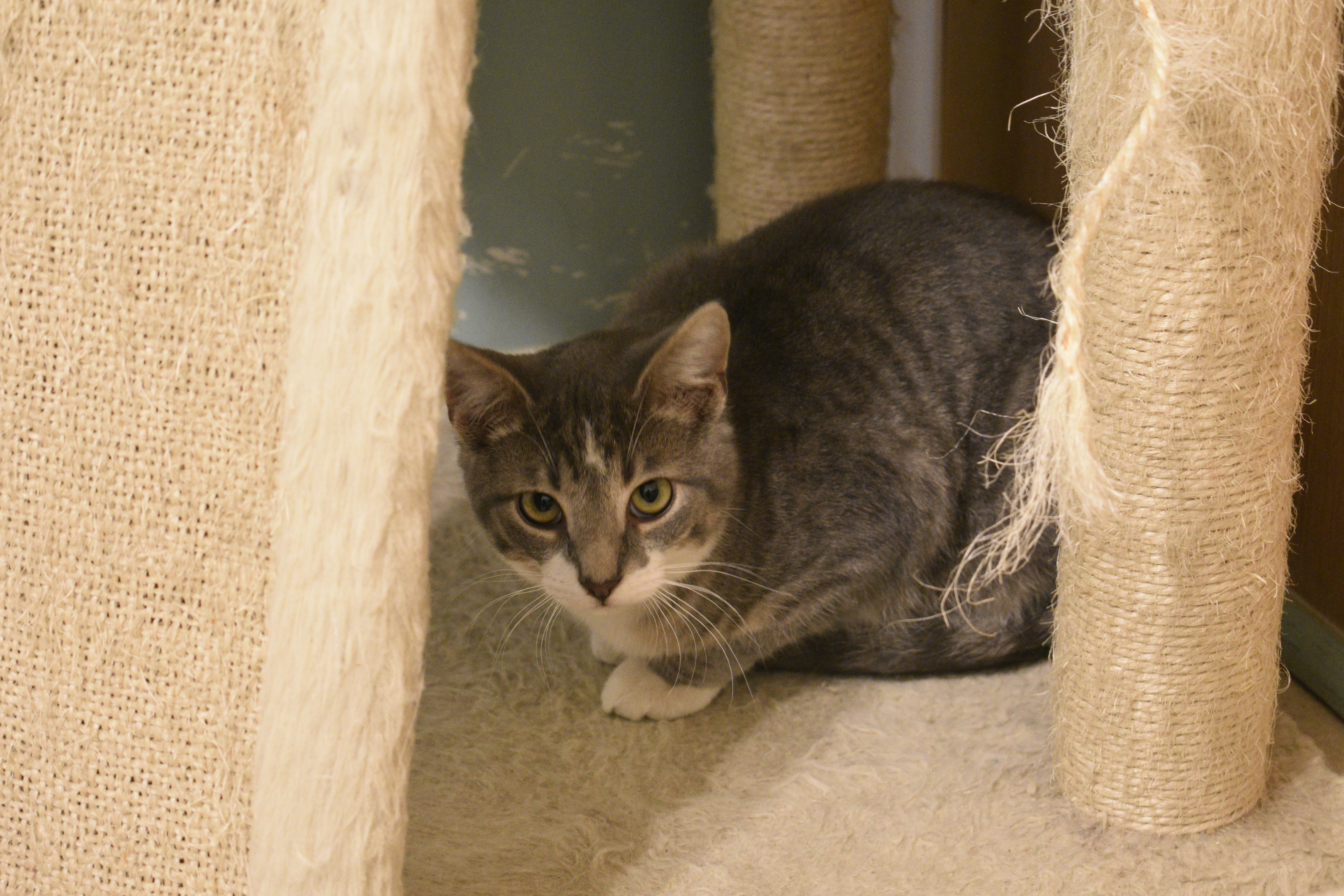 Clyde photo 5