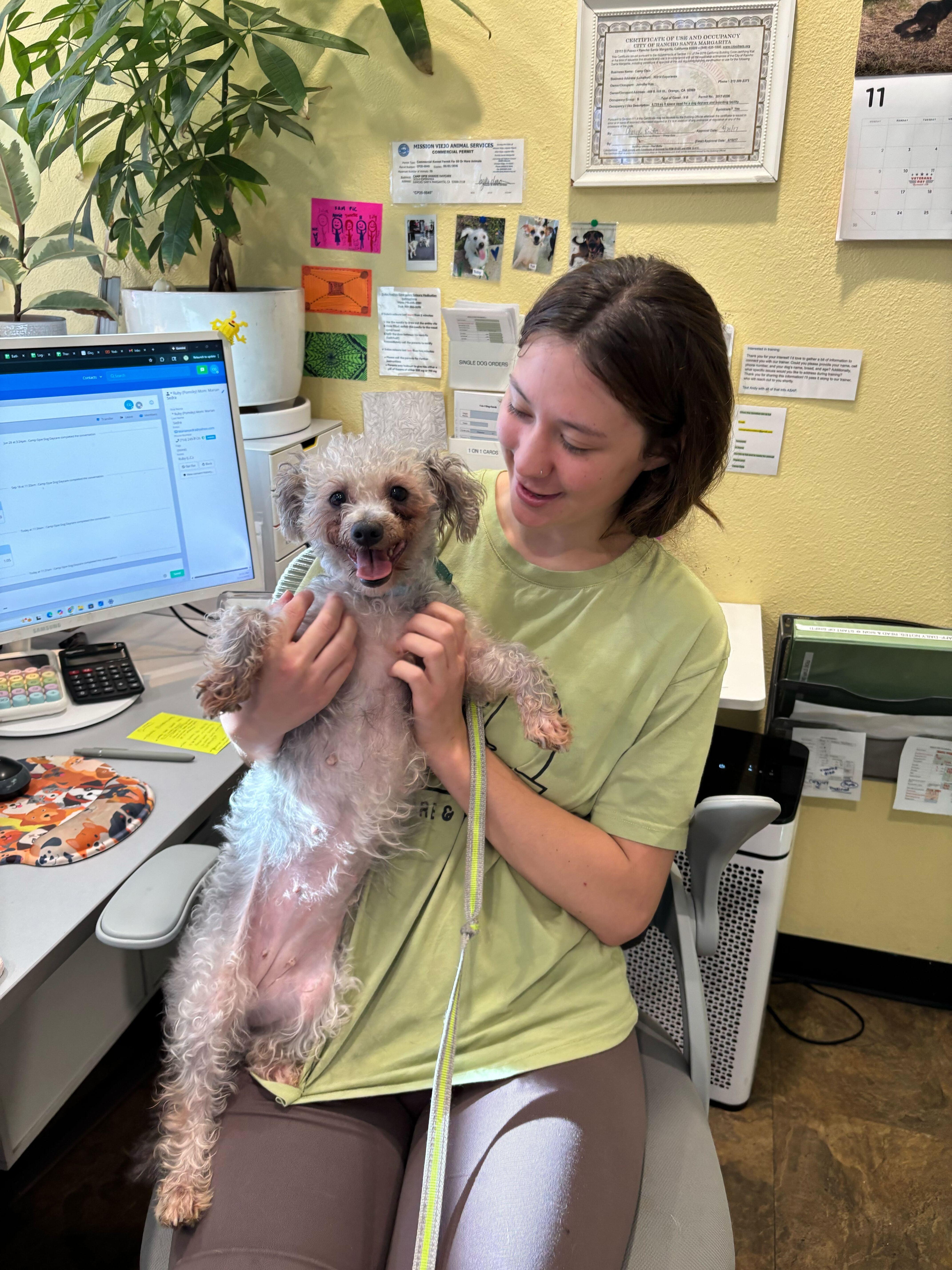 Jabba, a Adoptable mixed breed in Rancho Santa Margarita, CA image 2/6