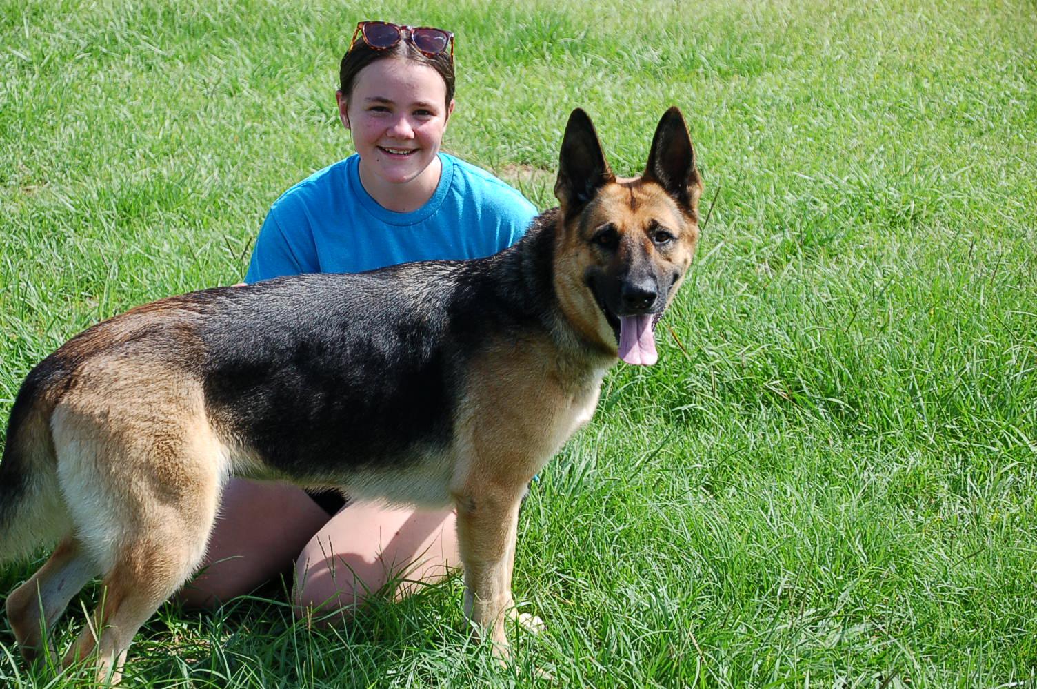 Enlarge BELLAH, a Adoptable German Shepherd Dog in Preston, CT image 6/6