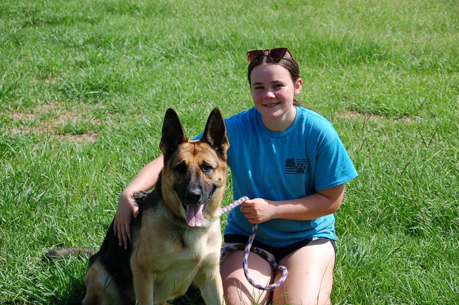 BELLAH, Adoptable, Adult Female German Shepherd Dog.