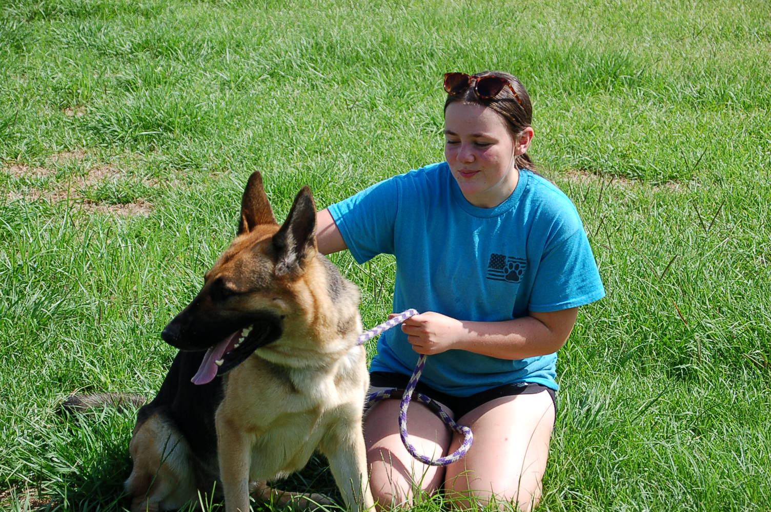 Enlarge BELLAH, a Adoptable German Shepherd Dog in Preston, CT image 2/6