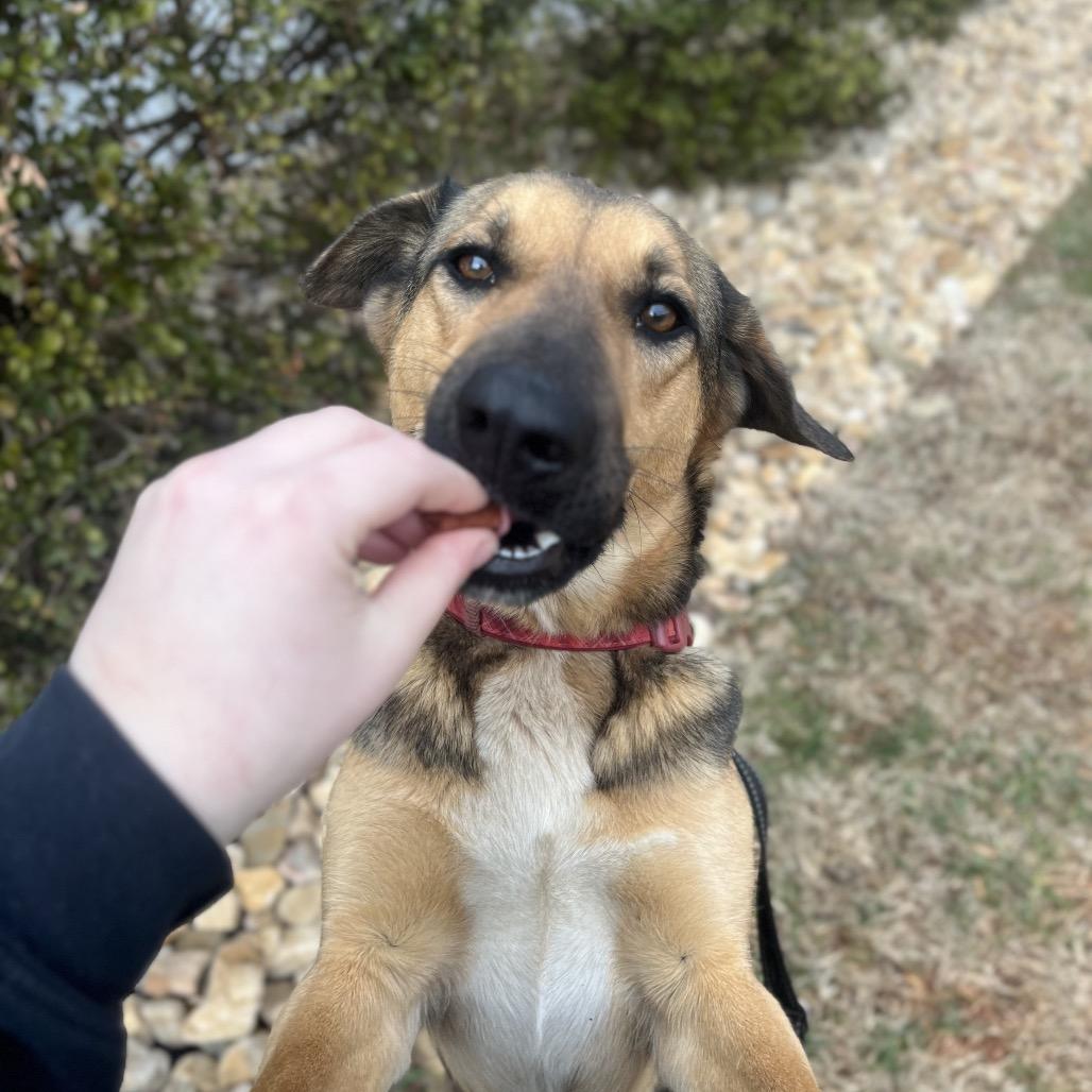 Missy — thumbnail 2