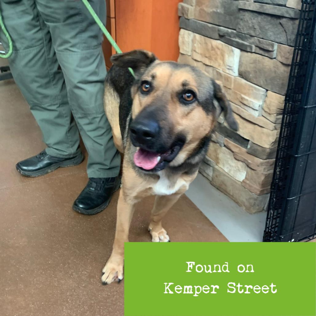 Missy — thumbnail 3