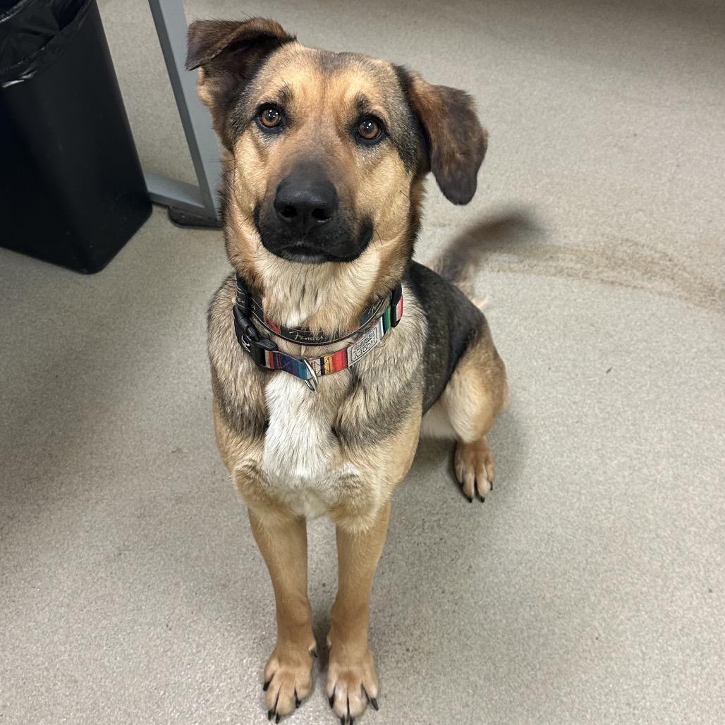 Missy — thumbnail 6