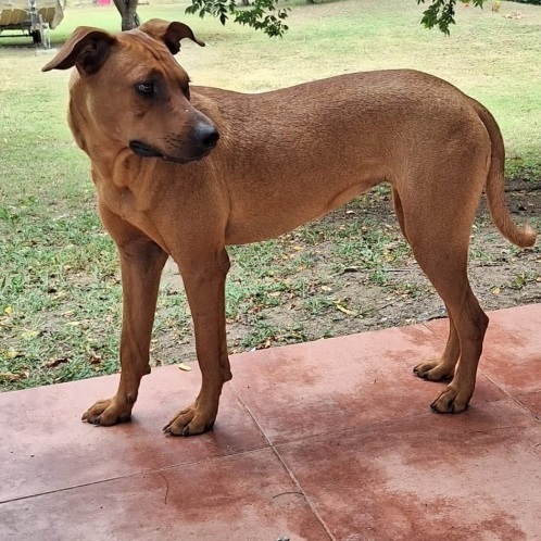 Mimi "your Girl!" thumbnail 2