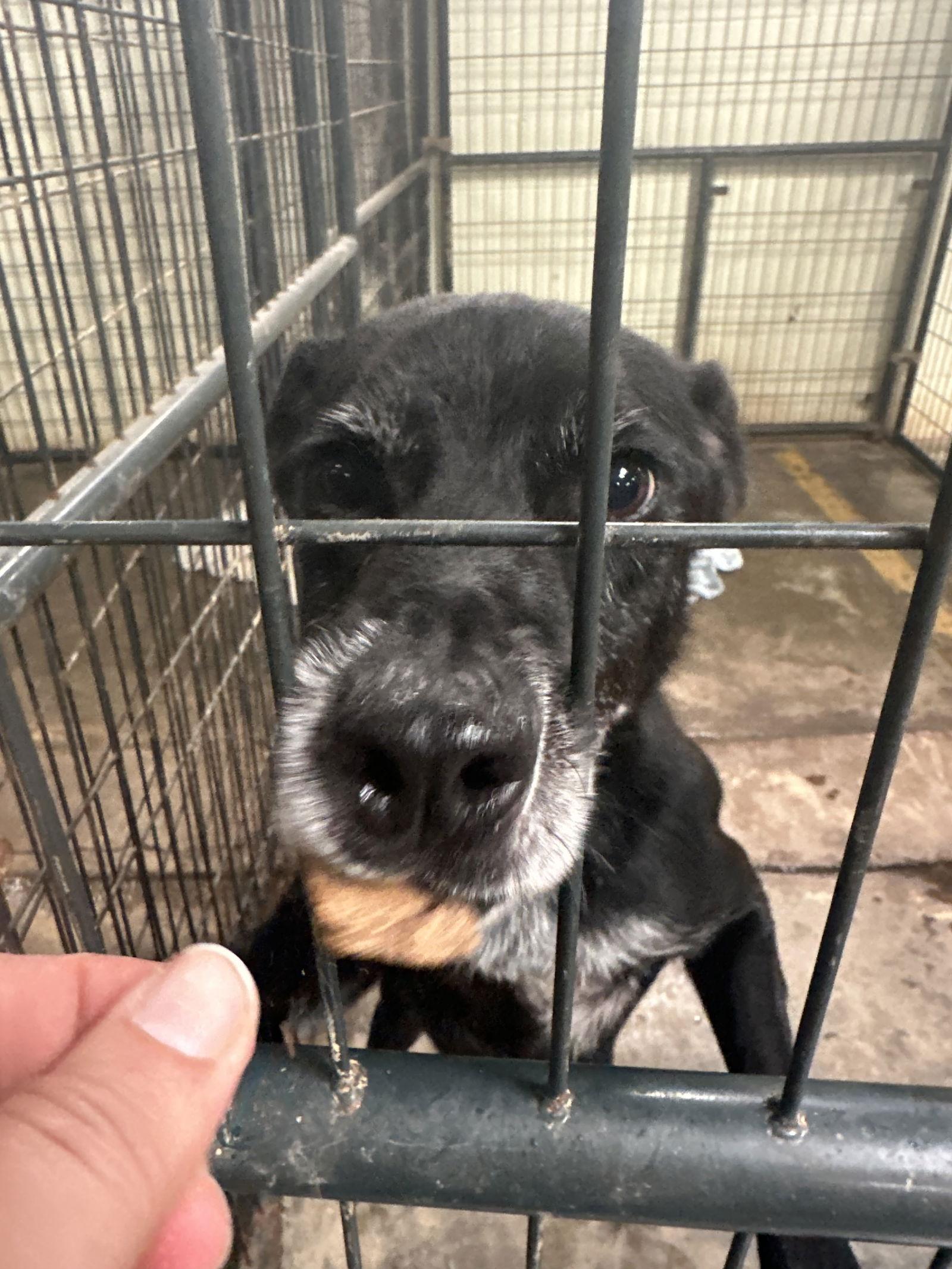 Wiggly — thumbnail 2