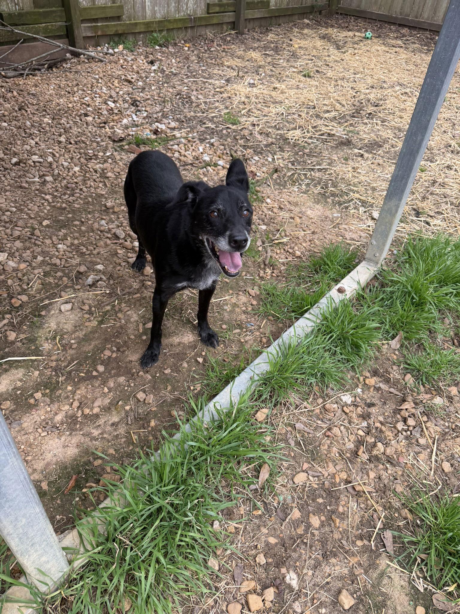 Wiggly — thumbnail 3