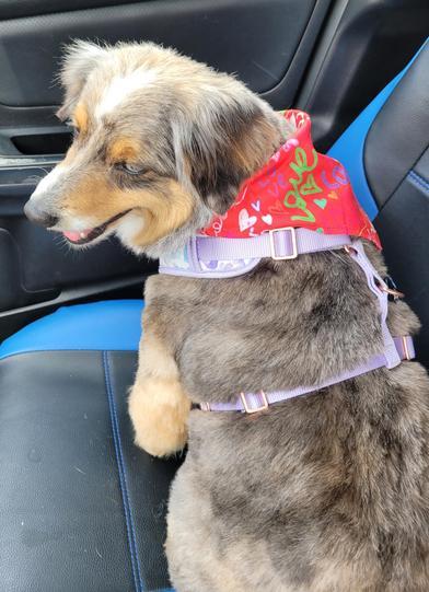 Gretchen — thumbnail 3