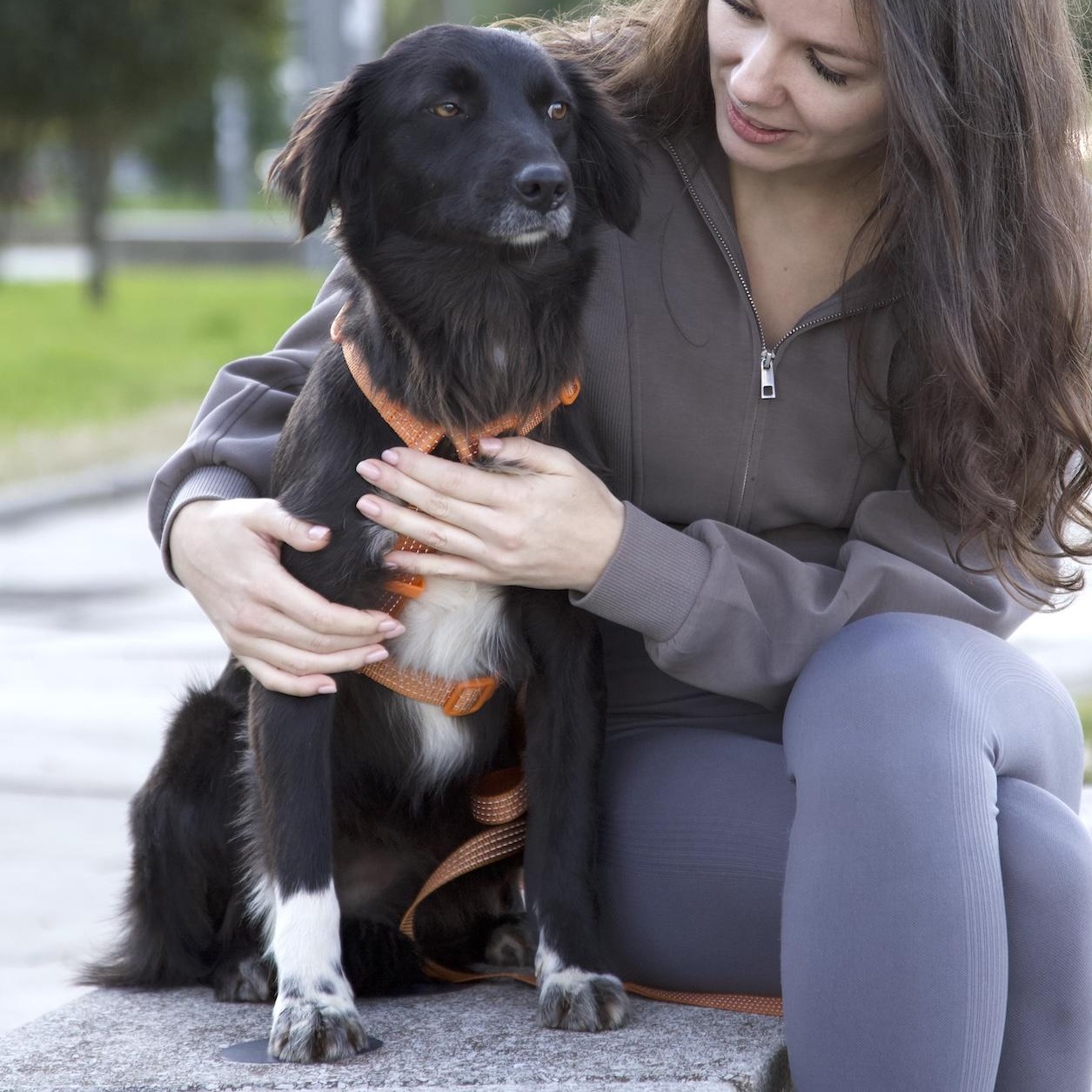 Enlarge Asha, an adopted mixed breed in Morristown, NJ image 6/6
