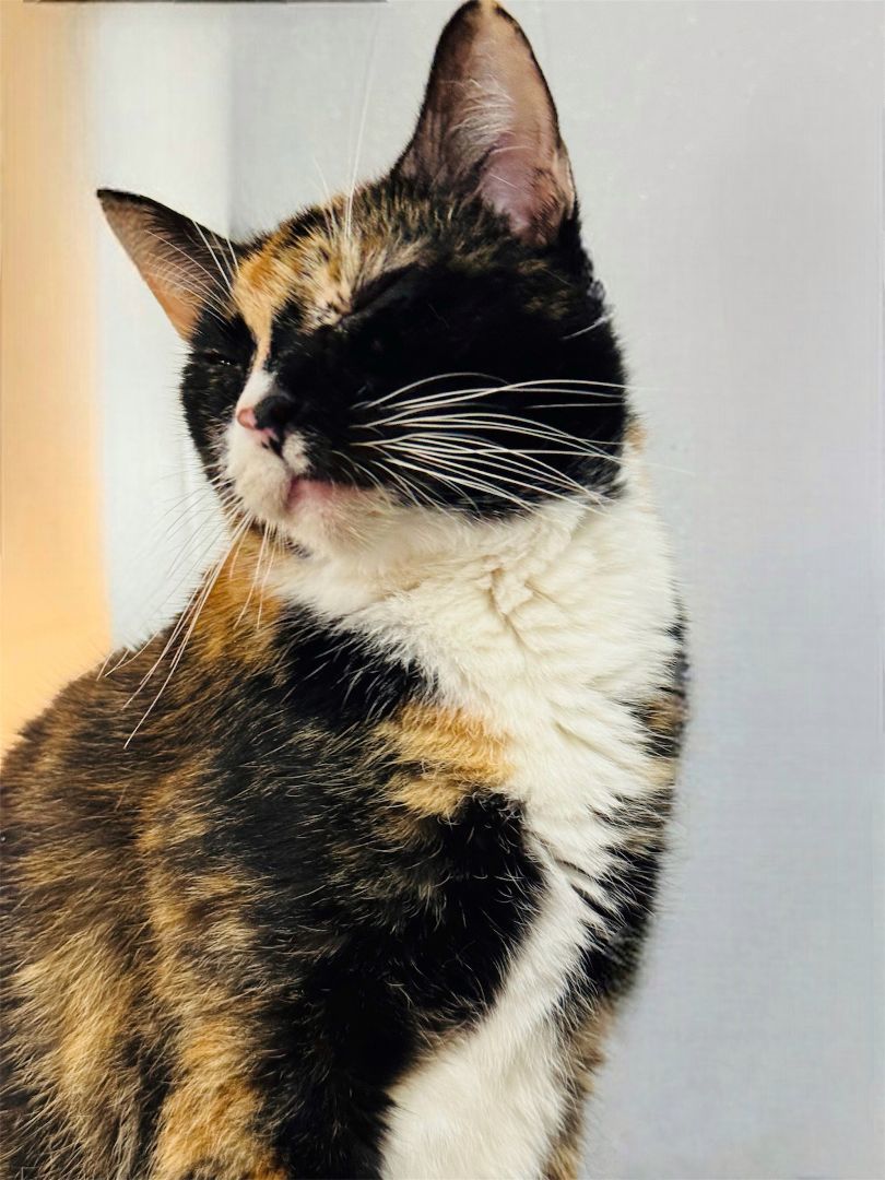 Rosie