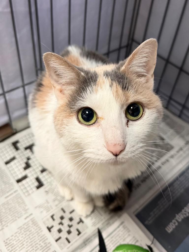 Victoria thumbnail 2