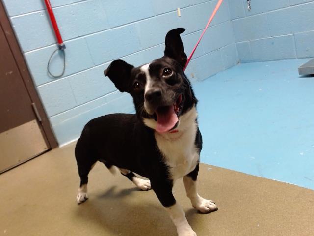 URGENT! SAVE ME PLEASE! PAL -ID#A545502