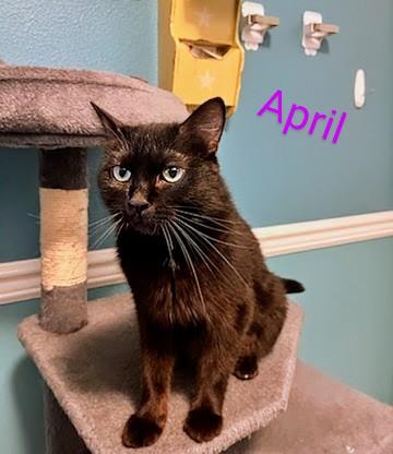 April
