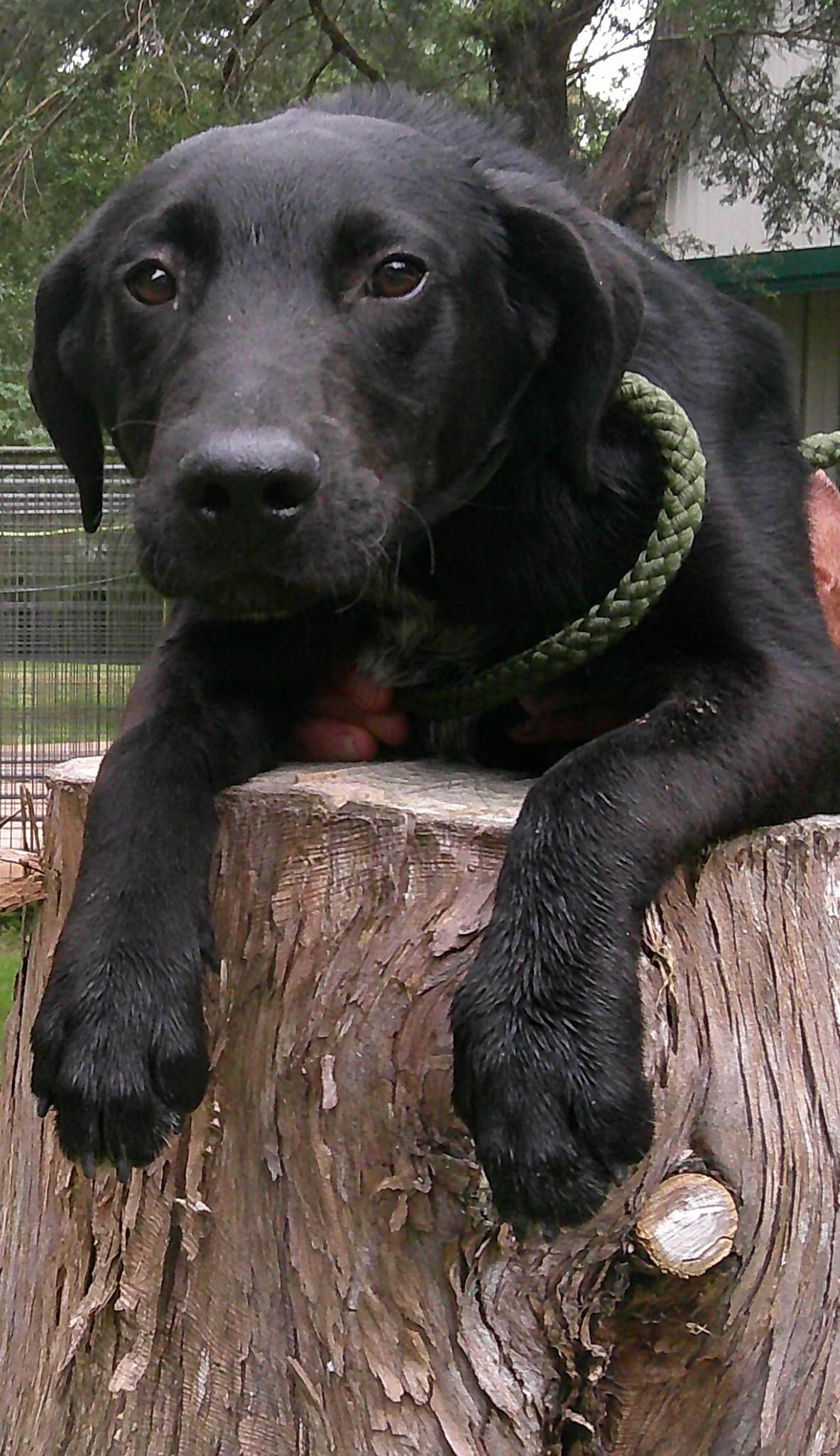 Lenny thumbnail 3