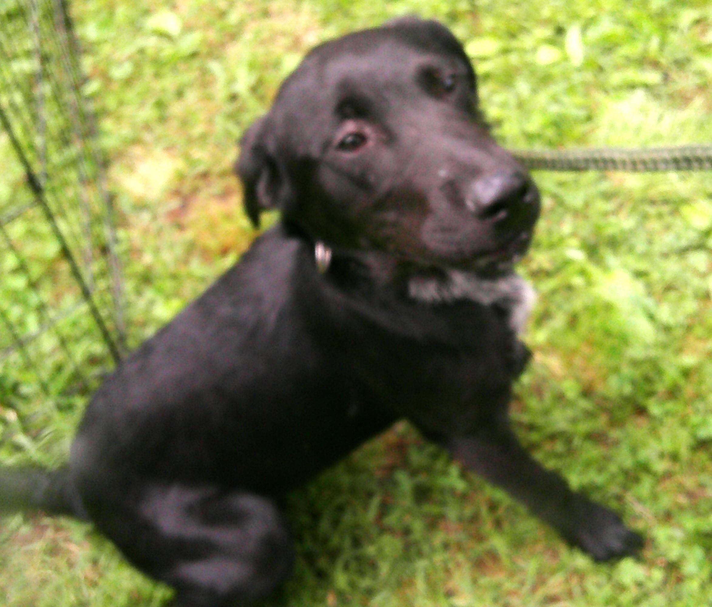 Lenny photo 1