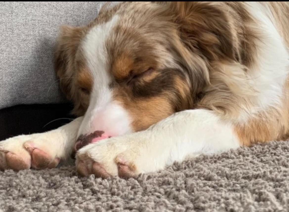 Loki