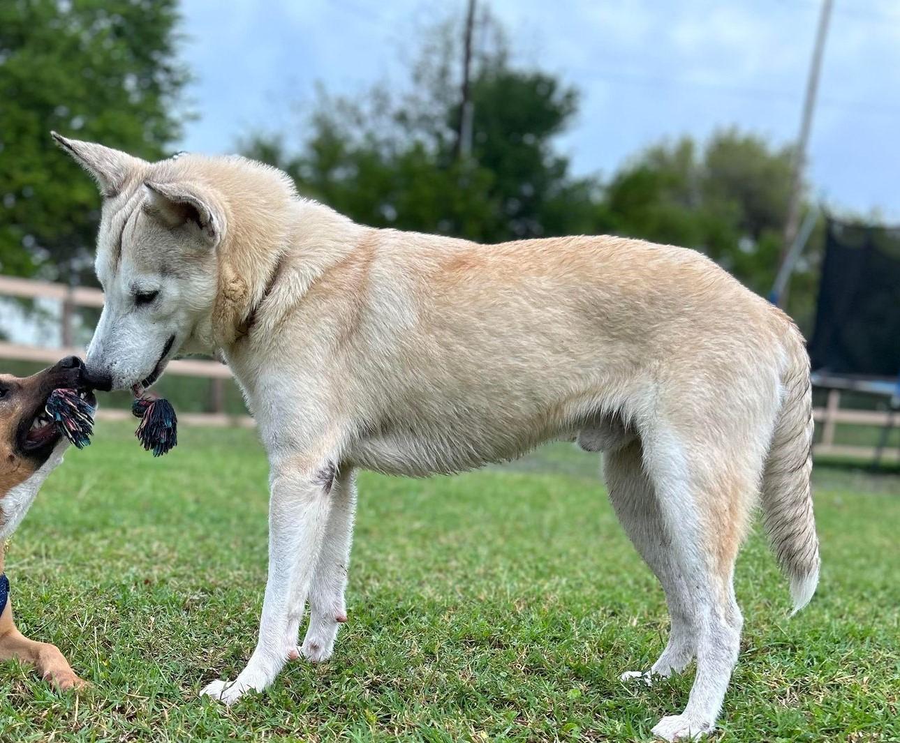 Huckleberry Finn thumbnail 5