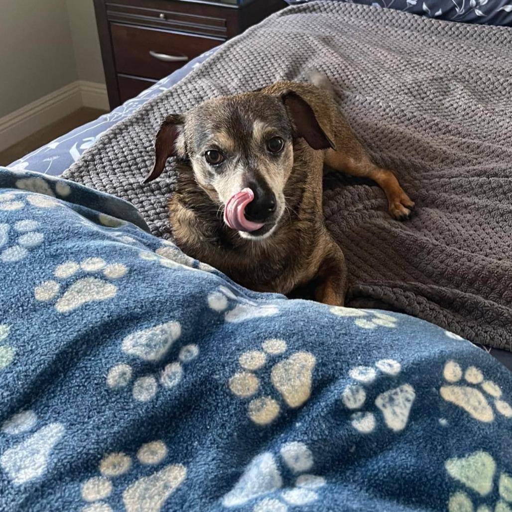 Connecticut — thumbnail 3