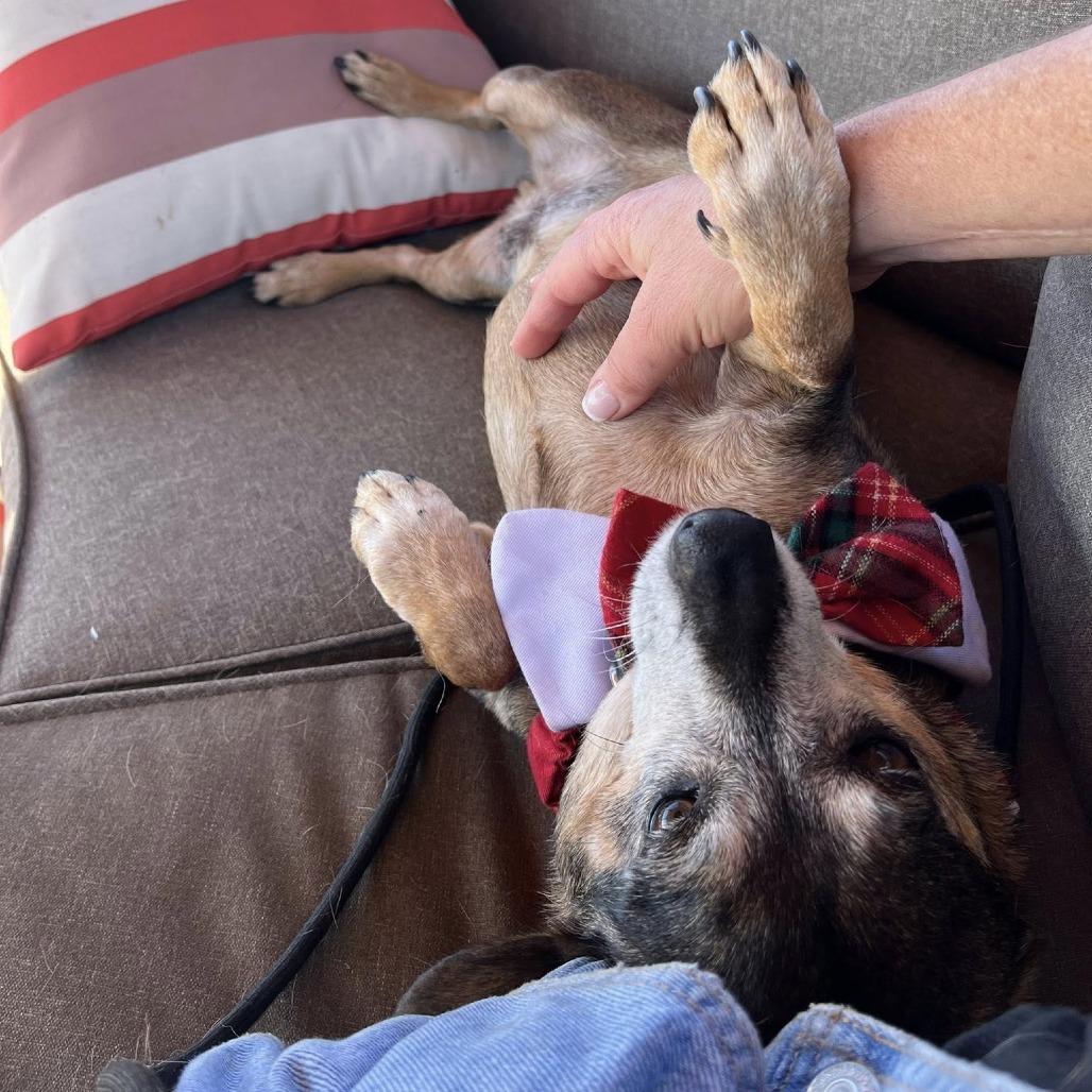 Connecticut — thumbnail 6