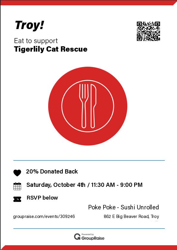 Derecho, a Adoptable Domestic Short Hair in Sterling Heights, MI image 1/5