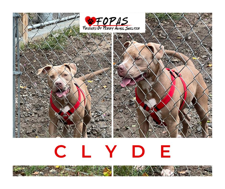 Clyde