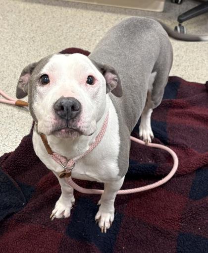 Khloe Jane (bonded to Vida)