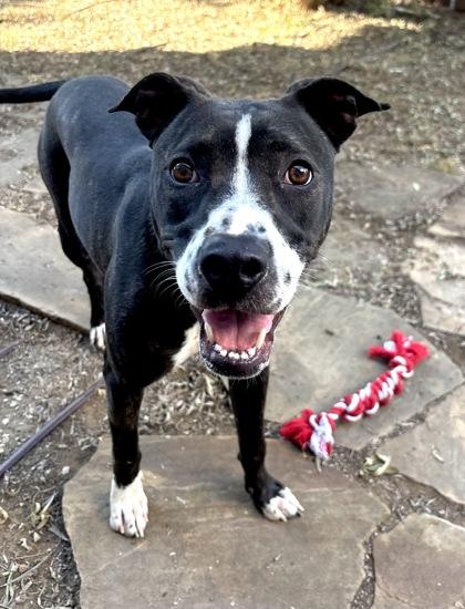 Daisy — thumbnail 4