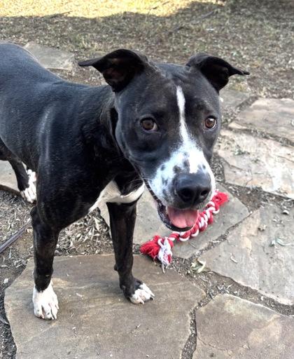 Daisy — thumbnail 5