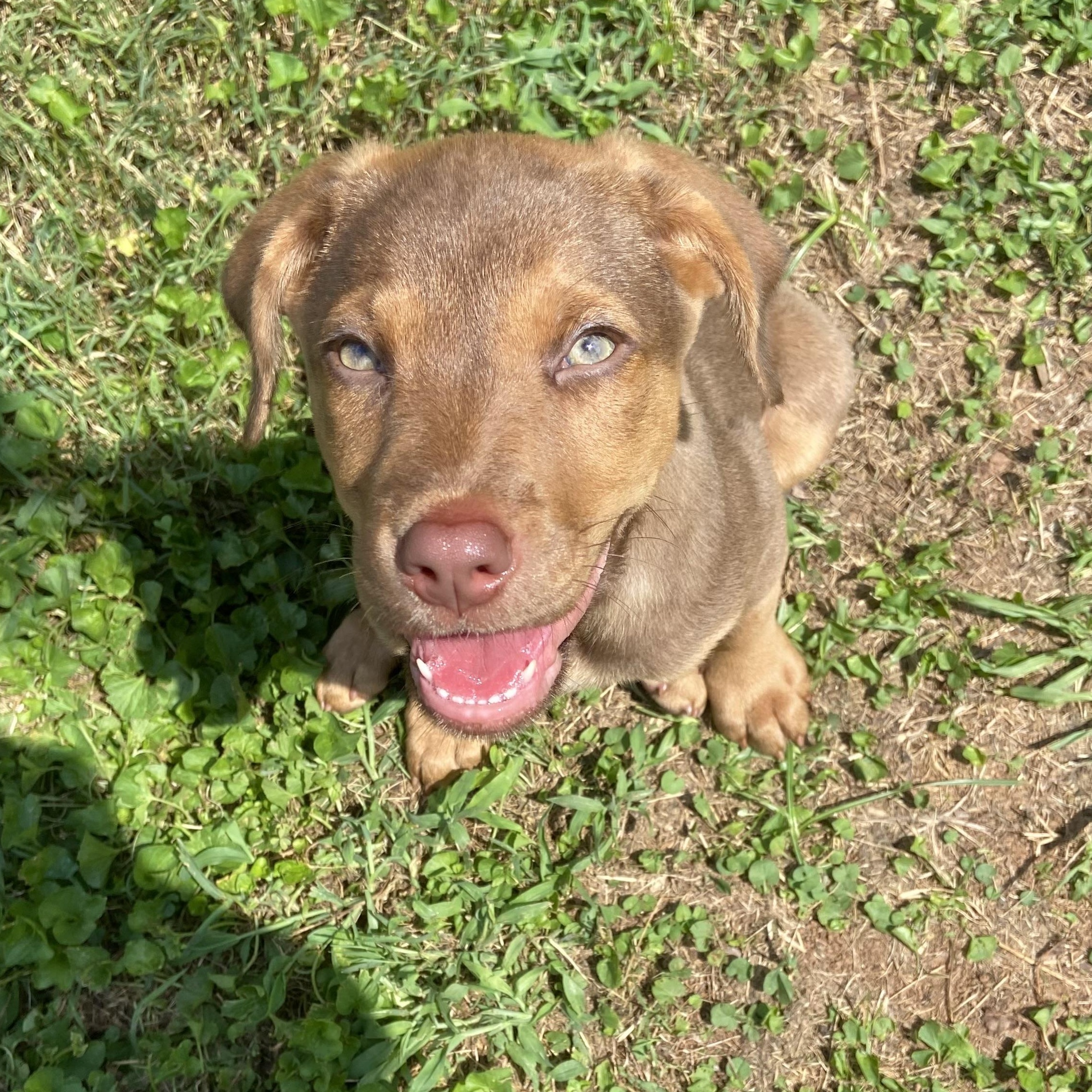 Jackson, Baby Male unknown