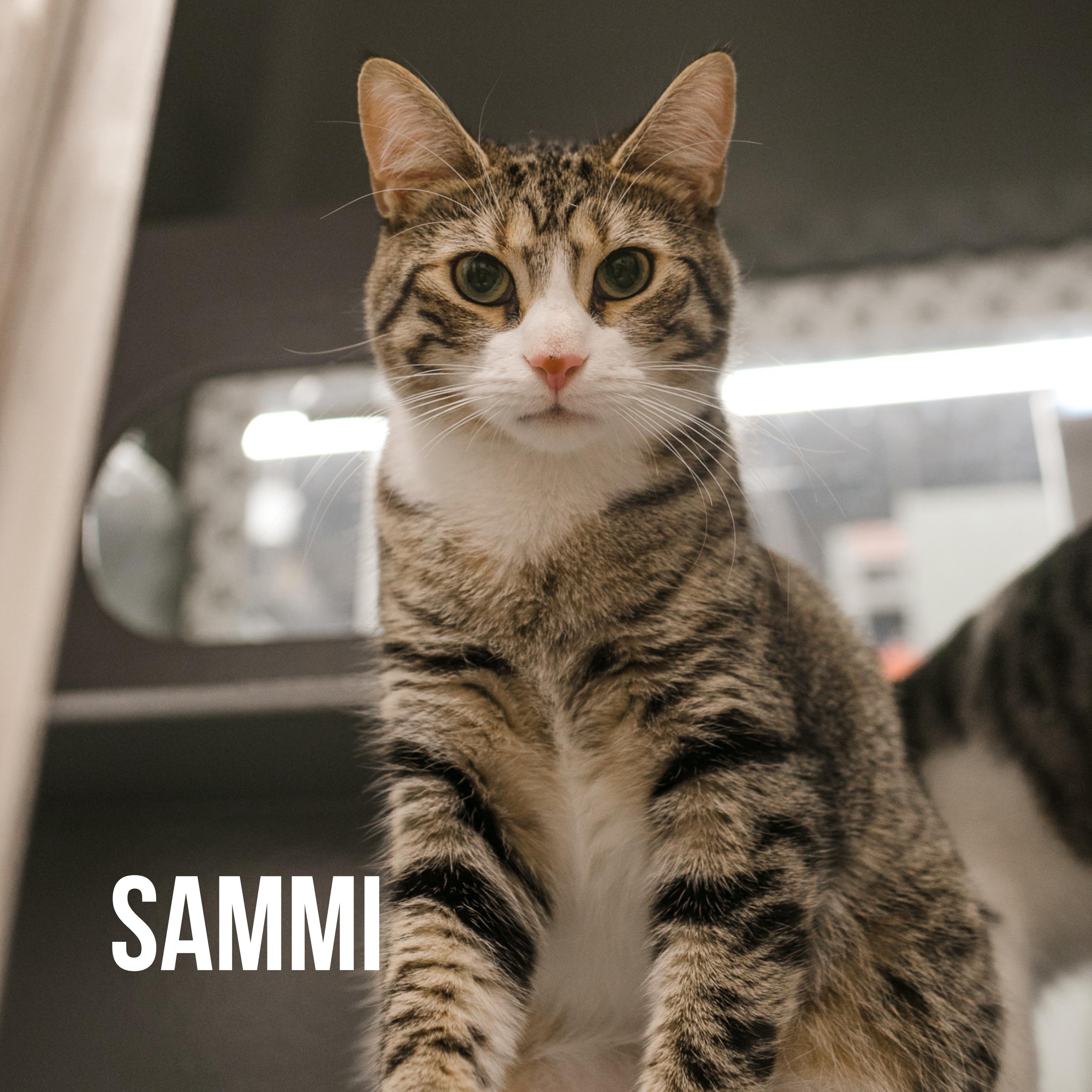 Charli & Sammi (Minerva adopted)