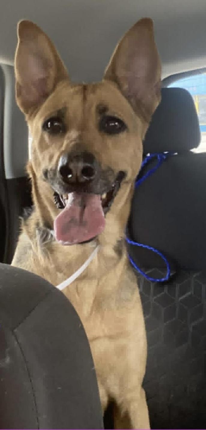 LADY GS — thumbnail 2