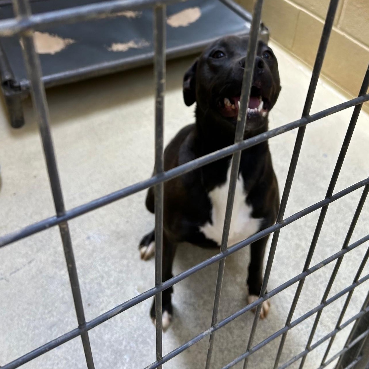 Nala Day thumbnail 2