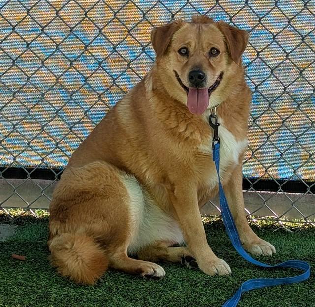 KIMCHI — thumbnail 2