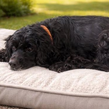 Wicket — thumbnail 3