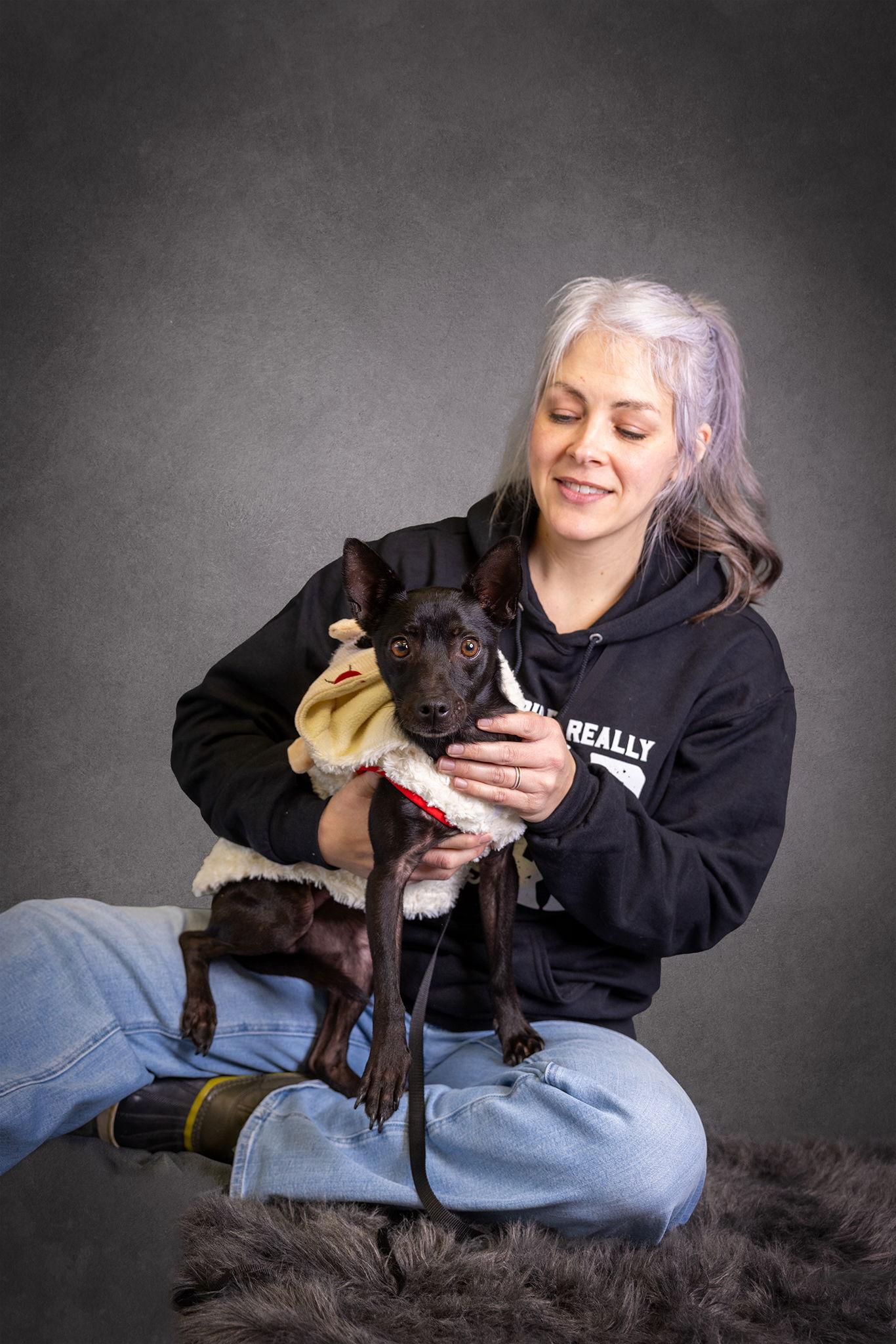 Nox, Adoptable, Adult Male Miniature Pinscher.