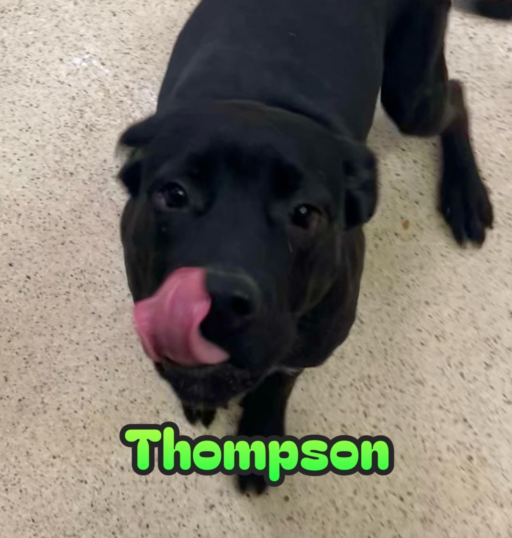 Thompson