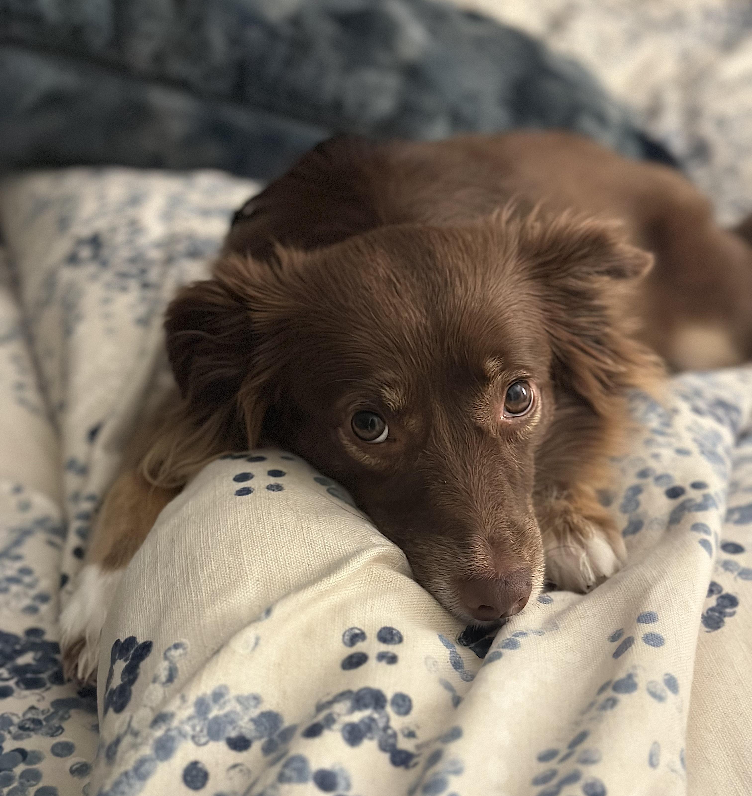 Claire — thumbnail 4