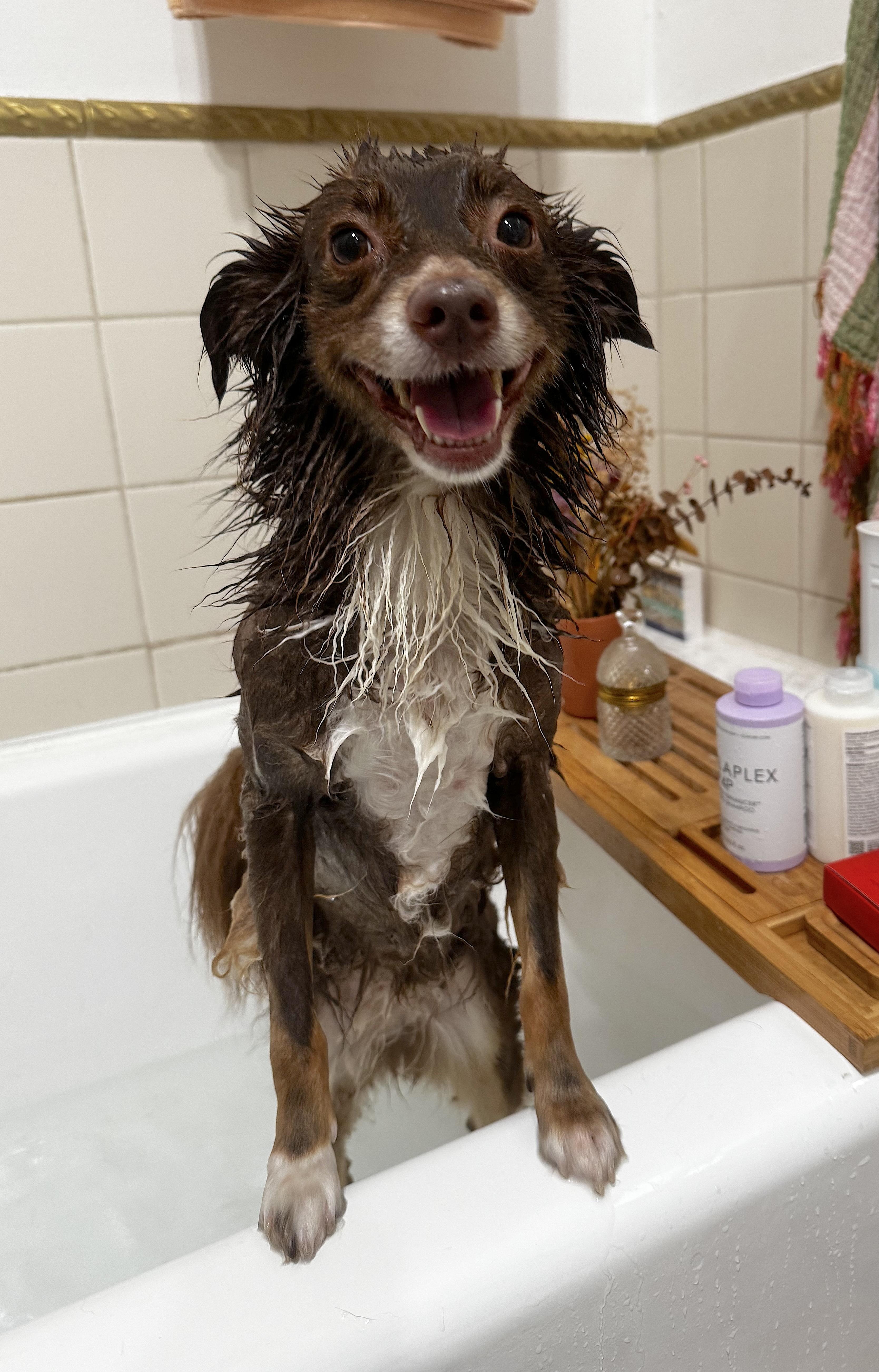 Claire — thumbnail 5