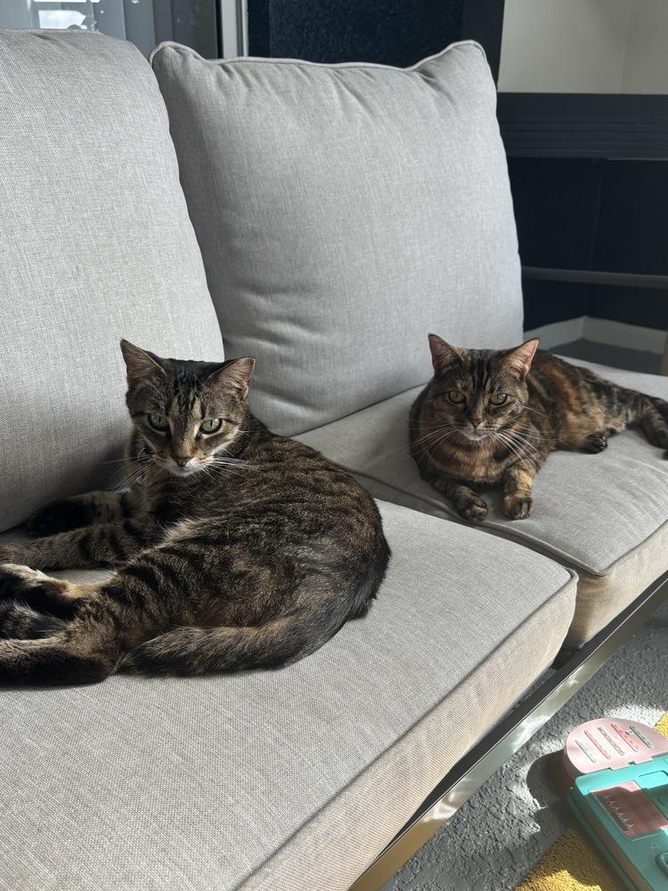 Kalamazoo — thumbnail 5