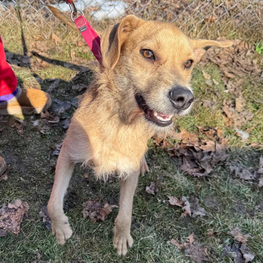 Seneca — thumbnail 2